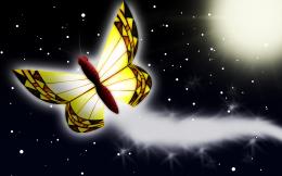 Magic Butterfly